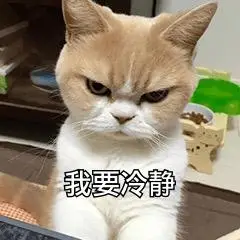 萌宠喵星人我要冷静淡定搞怪逗gif动图_动态图_表情包下载_soogif