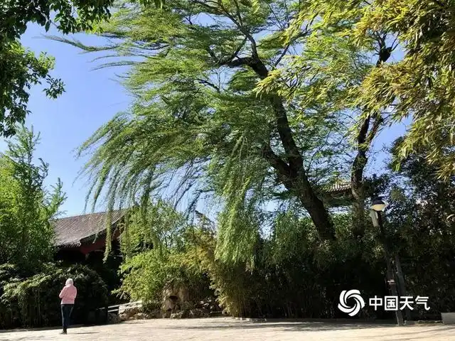 北京大风连刮三天 最大阵风风速达17.5米/秒