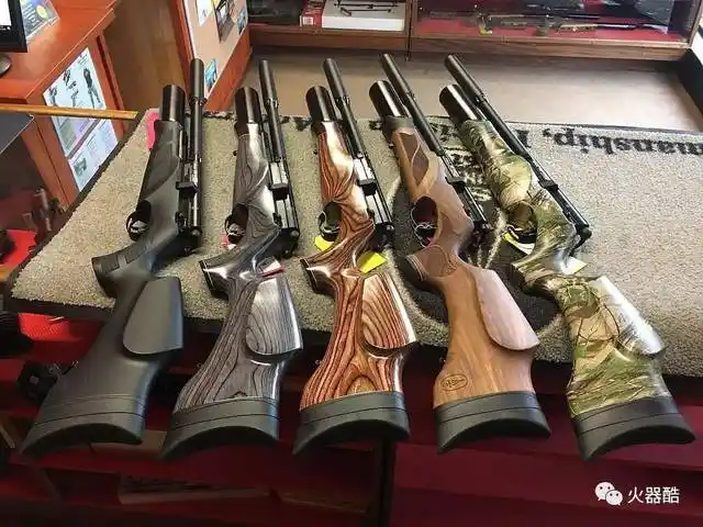 【生存法则】各式猎枪精美图集