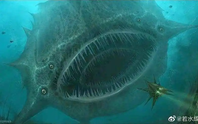 深海巨物恐惧症 【慎入!】-动物视频-搜狐视频