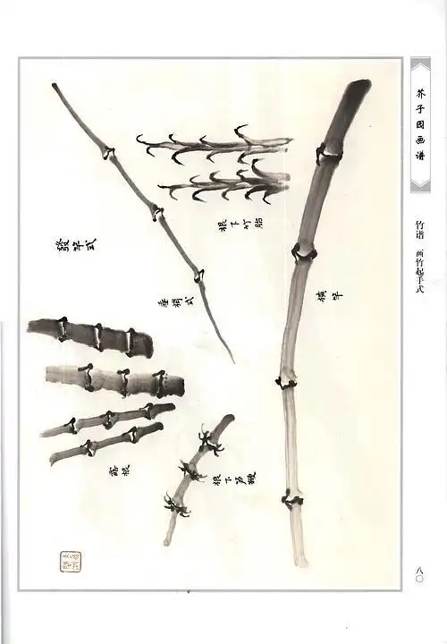 画竹的教程