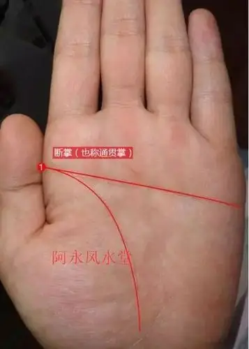 佛眼 的人非富即贵,可再好的运势锁不住也白搭假断掌是什么样的,假