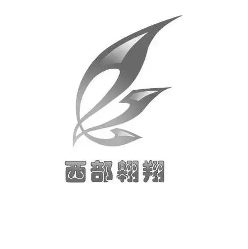 上海西部翱翔网络科技有限公司