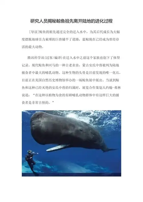 揭秘鲸鱼祖先离开陆地的进化过程doc
