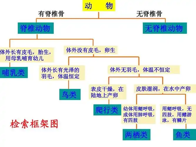 免费文档 所有分类 小学教育 英语 上课 常见的动物3ppt 动 有脊椎骨