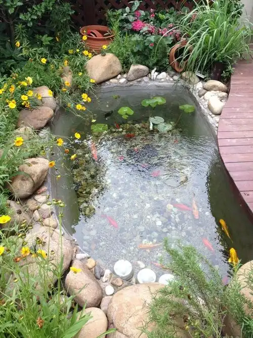 锦鲤鱼池处理.别墅鱼池