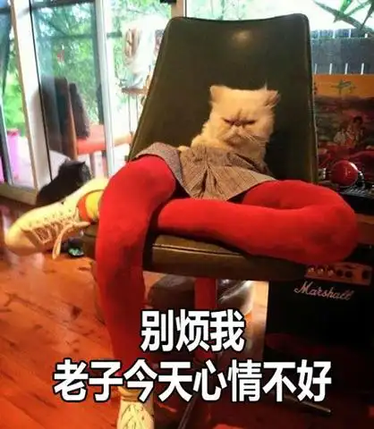别烦我,老子今天心情不好 - 大长腿性感小野猫表情包_小野猫_喵星人