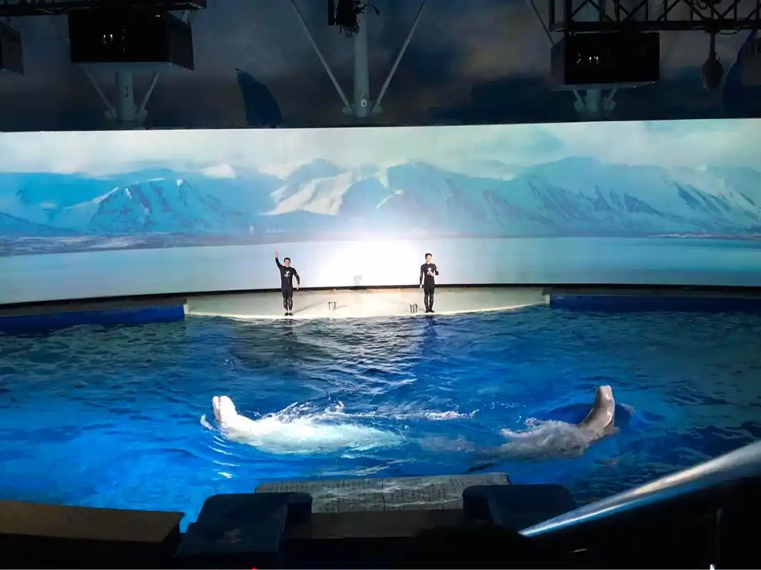 上海长风海洋世界 上海长风海洋世界成人票(5.12-6.10)【5折特惠】上