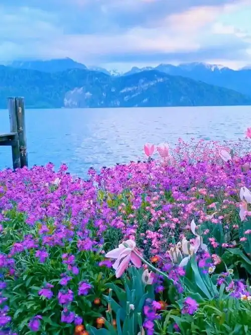 蓝天白云青山绿水这风景真的太美丽了