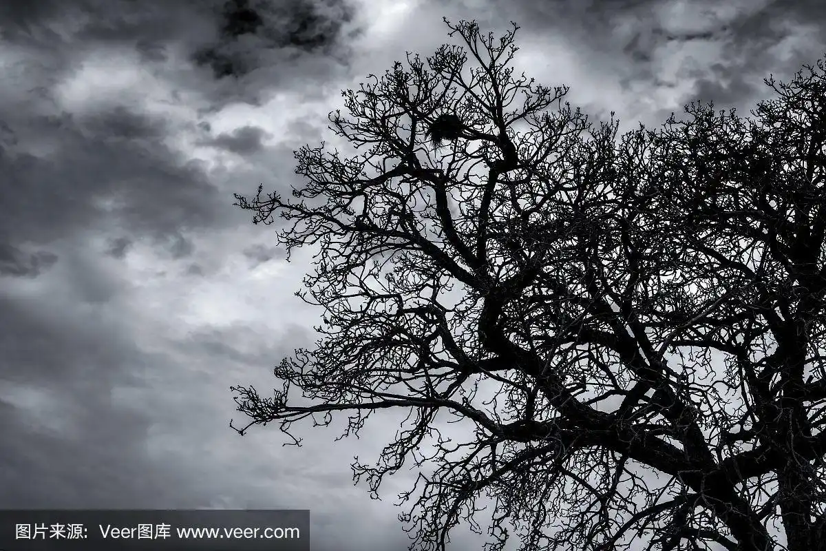 死亡的背景,无望,绝望,悲伤和悲叹的概念.万圣节之夜.