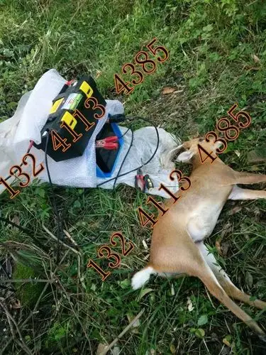 新款电瓶捕猎野猪机器电子电打野猪机器批发