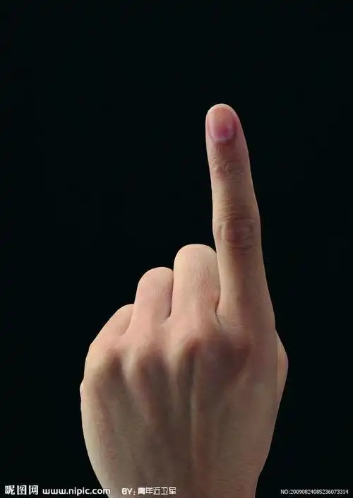 求一手指图片.