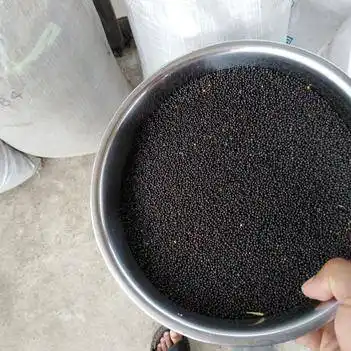 油菜籽