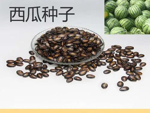 李集镇中心幼儿园课程宅急送 ——第40期 各种各样的种子