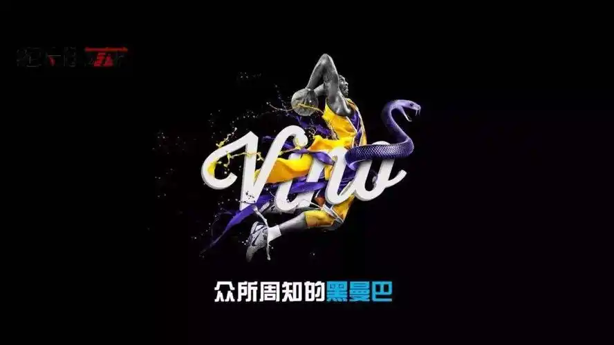 再见科比你是我们心中永远的24号