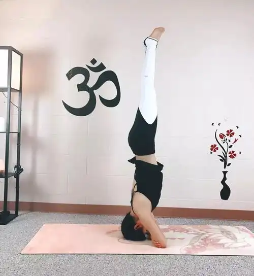 ofelia头肘倒立变体