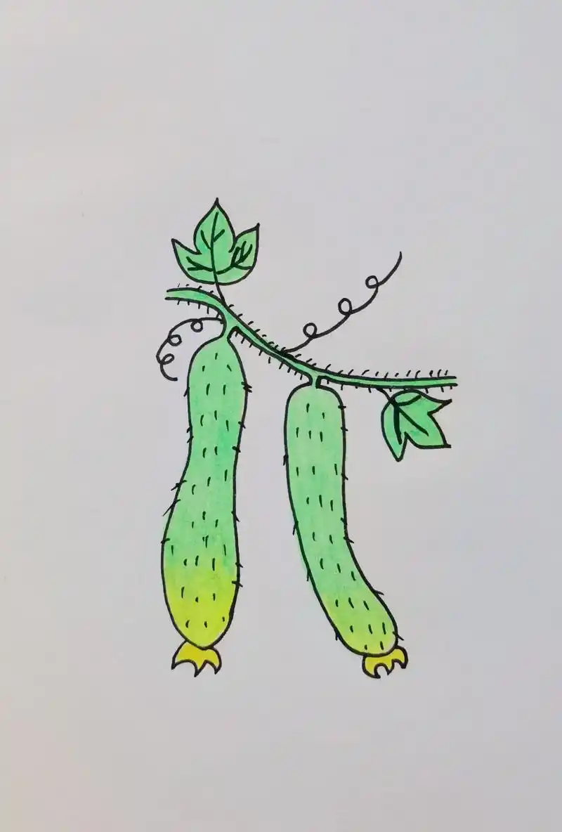 天气太热的时候吃上一根嫩嫩脆脆的黄瓜也很爽口