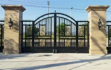 农村院子围墙大门图片