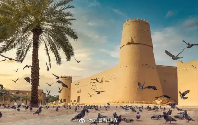 沙特阿拉伯激发灵感的王国