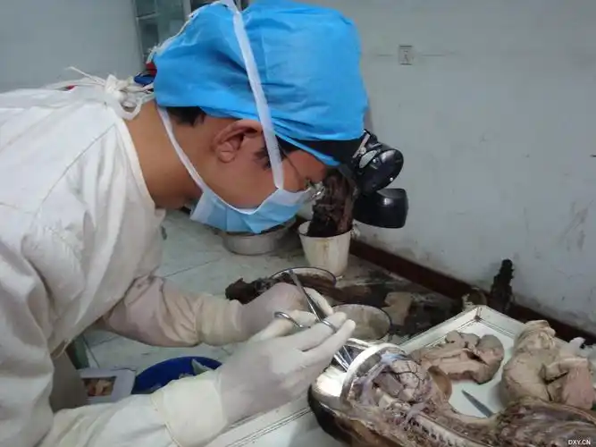 下面就是我解剖尸头的地方