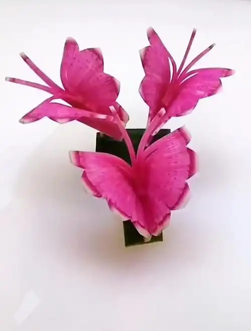 萝卜创意盘饰创意摆盘技巧,简单又好看的创意萝卜盘饰