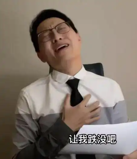 今天基金大跌聊聊纯债券基金