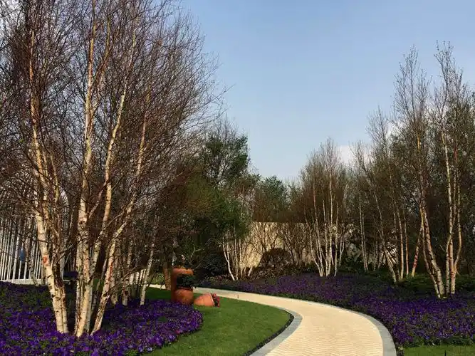 成都中洲中央公园