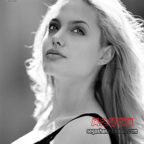 人像摄影素材明星angelina.jolie安吉丽娜朱莉高清图片壁纸250张