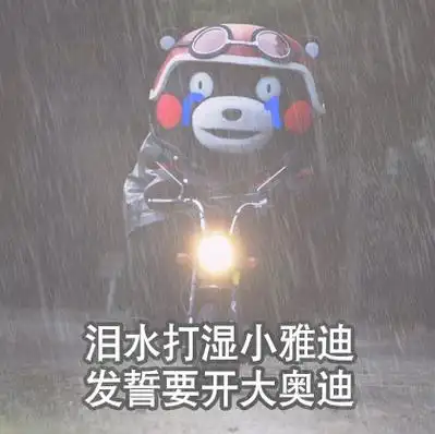 熊本熊表情包##表情包