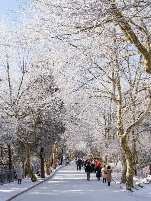 永远可以相信冬日雪景的出片率