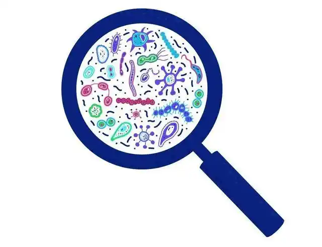 细菌_新浪财经_新浪网