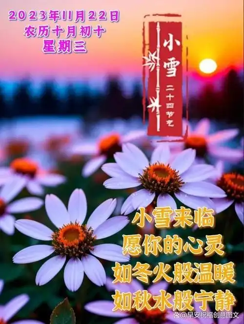 今天是小雪节气,天空中的雪花纷纷扬扬地飘洒而下,宣告着寒冷的冬季