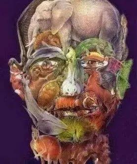 考眼力这8张诡异图片据说有神效