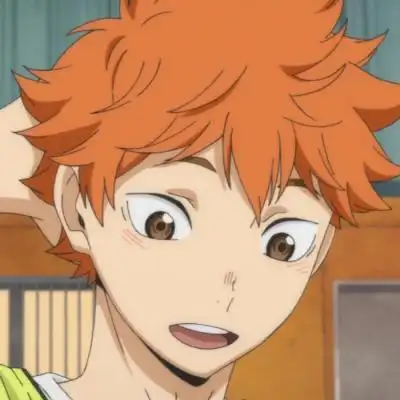 动漫男头日向翔阳