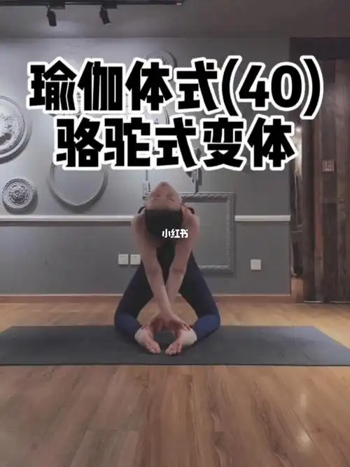 瑜伽体式40骆驼式变体
