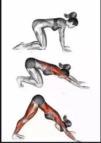 练习瑜伽的经典体式"下犬式",这些好处你知道吗?