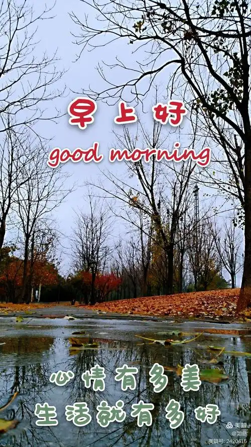 早安图片 - 美篇