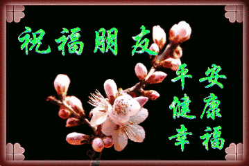 祝福朋友平安健康幸福闪动梅花gif动图_动态图_表情包下载_soogif