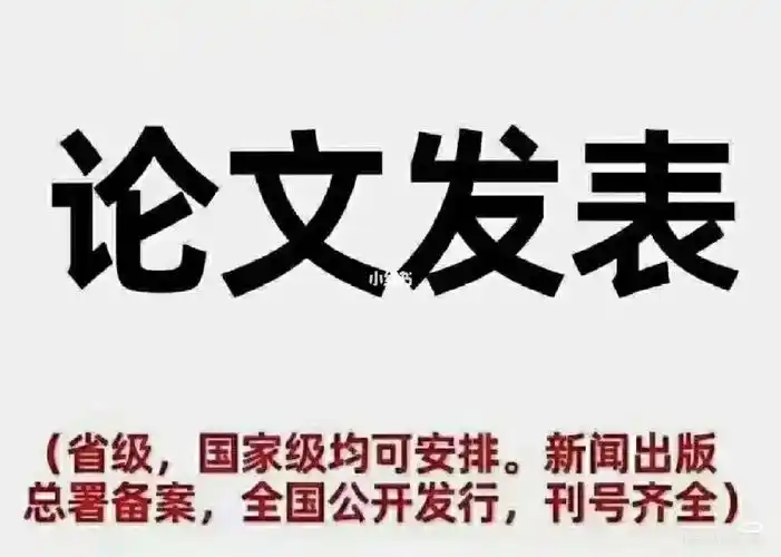 论文发表