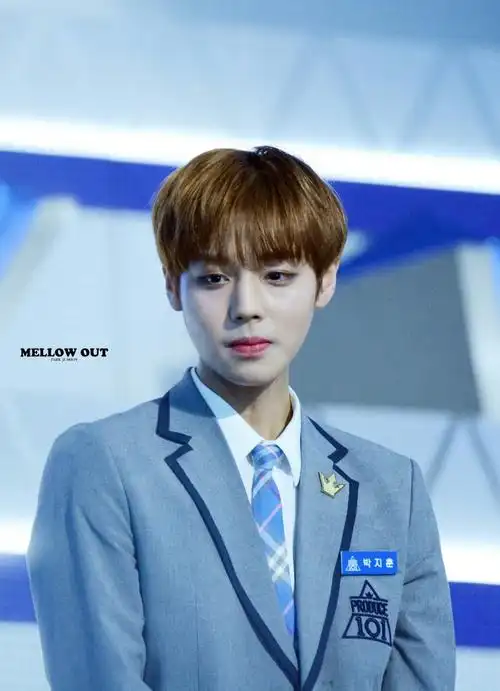 男版produce101wannaone朴志训crlogo