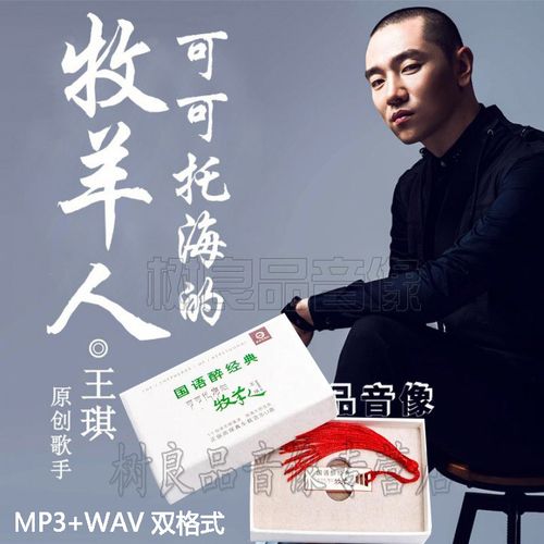 正版车载u盘王琪可可托海的牧羊人杨小壮半吨兄弟网络流行伤情歌