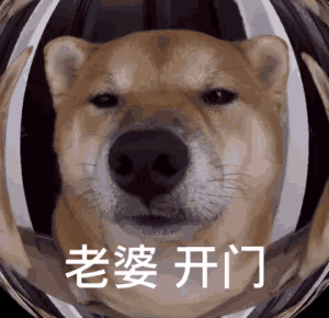 老婆是我呀_我回来了_开个门gif动图-柴犬表情包,开门表情包