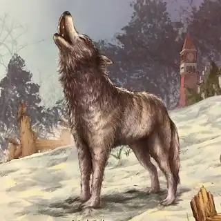 卓霖妈妈讲故事-顽强的威尼派克狼