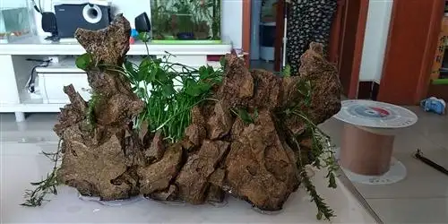 自已做的假山,刚从鱼缸里拿出来,长38公分,高24公分,不用了,一百卖掉