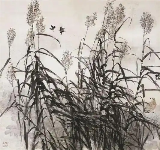 秋韵怡人一组诗画芦苇欣赏