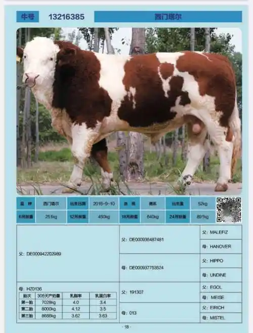 优良种公牛冻精