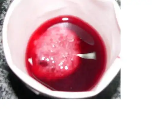 孕囊为球形体,在水中清洗后为粉白色,外有漂浮的绒毛,在水中清洗后易