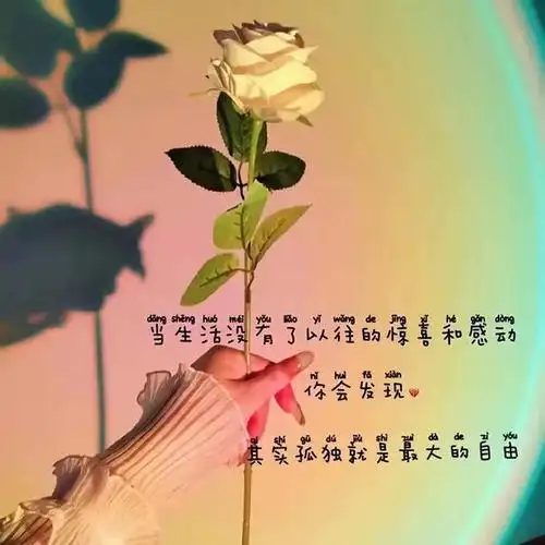 背景图慢慢变好才是给自己最好的礼物