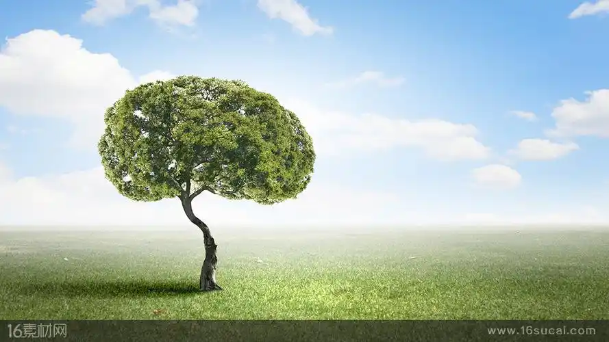 蓝天白云下的绿树和草地高清图片