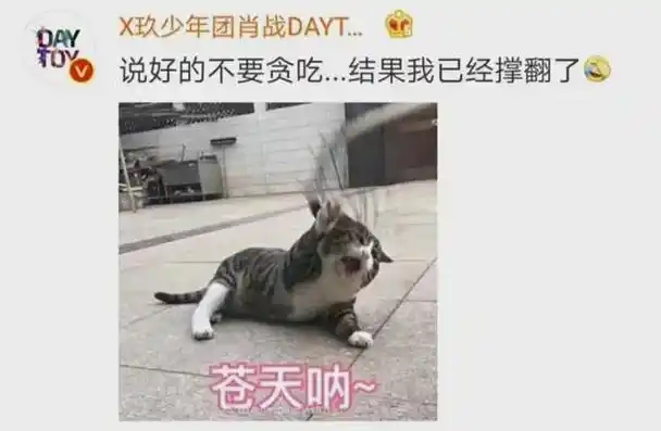 看有趣的灵魂如何玩转表情包?原来肖战也会撒娇求安慰吐露心声